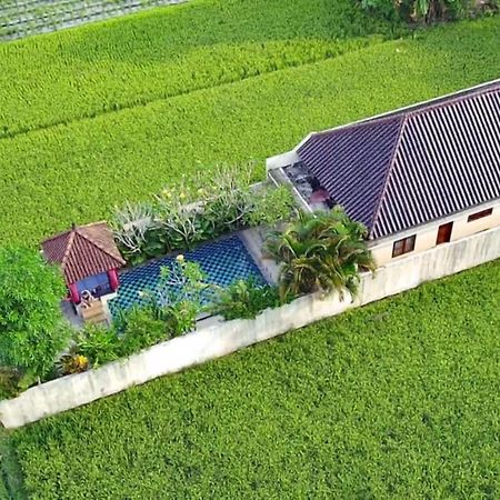 Private Pool Villa Sawah Sewon Yogyakarta Exterior foto