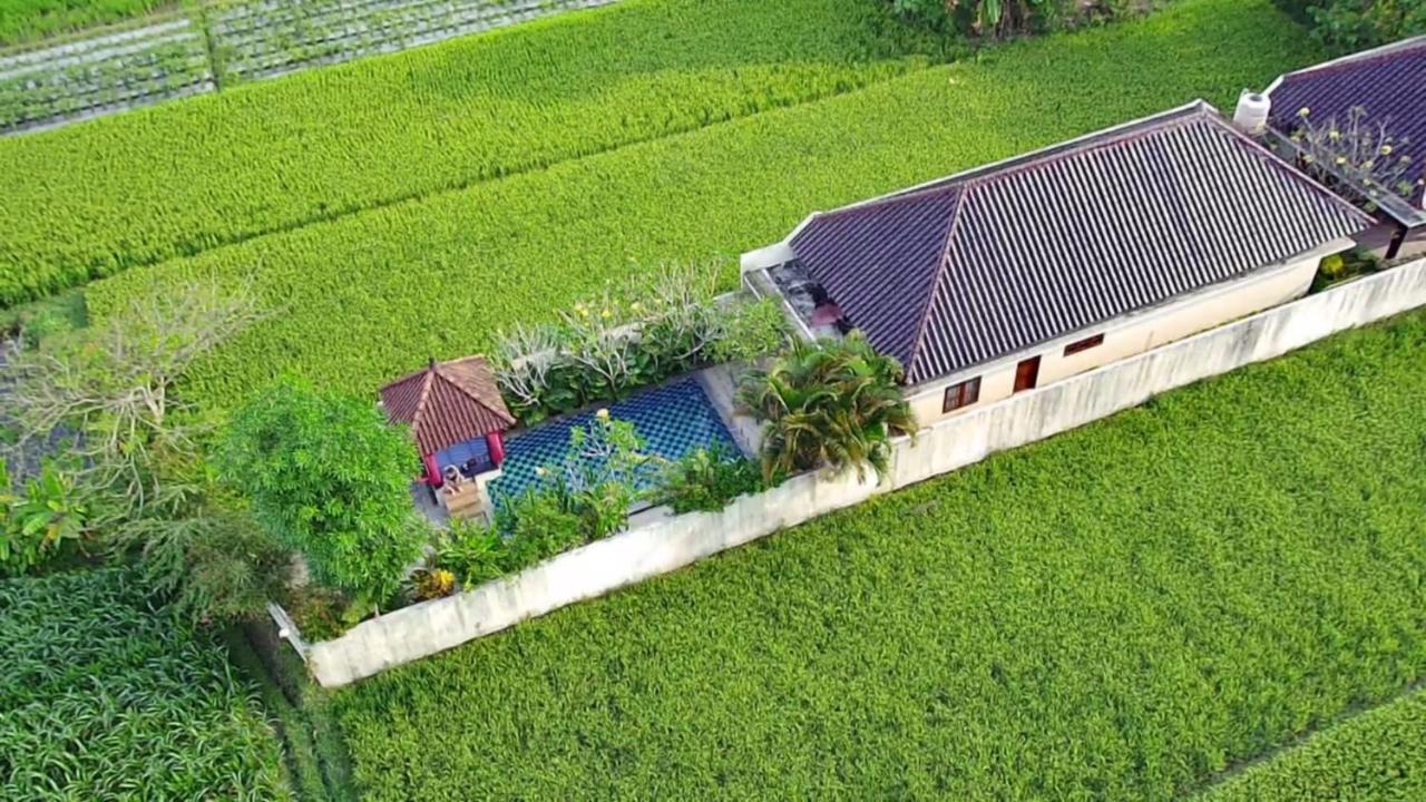 Private Pool Villa Sawah Sewon Yogyakarta Exterior foto